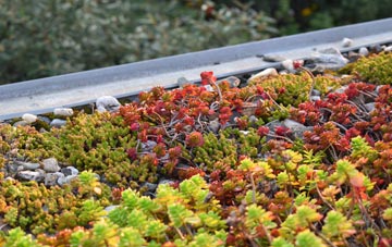 the cost of Coltness green roof installation