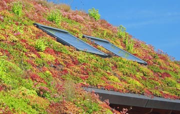 Coltness living roof systems