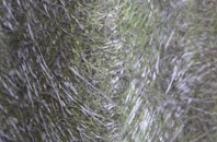 Coltness fibreglass roof work